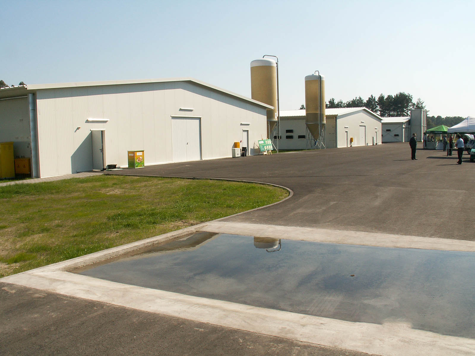 Hühnerfarm in Ausland